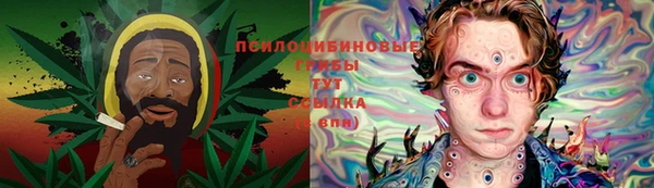 герыч Алексин