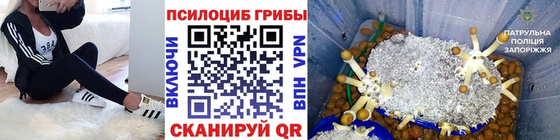 Псилоцибиновые грибы ЛСД  Миньяр 