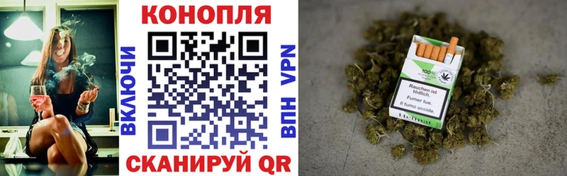 мориарти официальный сайт  Миньяр  Канабис план 